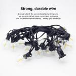 2700K LED String Bulb G40 1W Vintage Bulbs Christmas Bulb Lights Outdoor