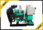 40 Kw Aspiration Propane Powered Generator Strong Power , Power Electric