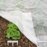 3.2m Agricultural Mulch Film