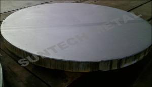 China Explosin Bonded Clad Plate / Tubesheet factory