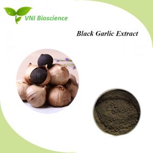 China Antiacid Plant Herbal Extract Antibacterial Black Garlic Extract Allicin on sale