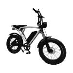 Fast Electric Dirt Bike Mountain City Road EBike With Mechanical Disc Brake In
