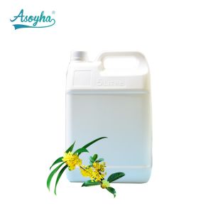 Osmanthus Aromatherapy Essential Oils For Ultrasonic Warm Mist Humidifier