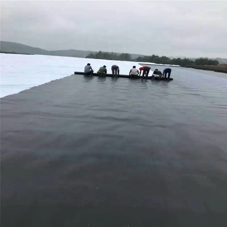 Double Smooth Surface 1mm HDPE Geomembrane for Fish Farming Agricultural Pond Liners