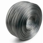 Tensile Strength 1570-2600MPA Steel Wire Rod High Carbon Steel 45 55 60 70 72A