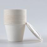 Biodegradable sugarcane bagasse salad bowl with clear lid 9 16 18 24 32oz