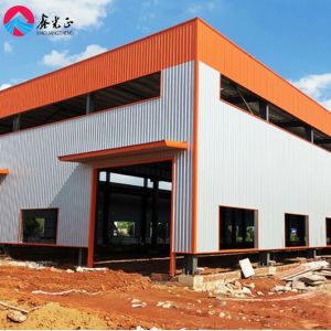 Customized Steel Frame Office Buildings