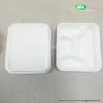 Small 4-compartment plate with lid Natural-Pulp Biodegradable Products