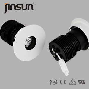 LED Wall Washer Spotlights with fixed structure, 10w, Citizen COB