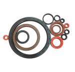Chemical Resistant Oil Seal Ring Water Resistance FKM FPM NBR CR PU Material