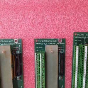 GE DS200TBQCG1AAA Analog Input/Output Termination Module with 4-20 mA Control