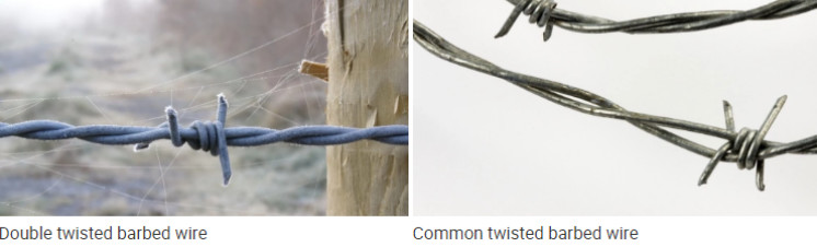 Agricultural Galvanised Barbed Wire Double Twist Q235 16 Gauge