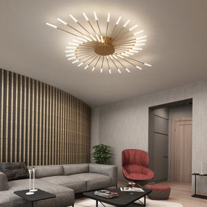 China Nordic fireworks ceiling lamp bedroom living room LED black ceiling lights factory