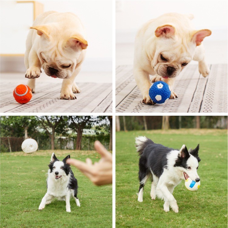 orange tennis balls for dogs