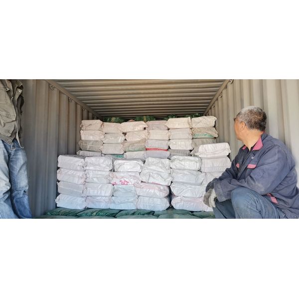 Factory Wholesale China Mattress Frame Edge Support Spring 4.8mm Butterfly Spring for Furniture