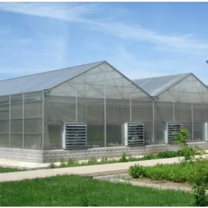 Flower PC Board Greenhouse With 10mm Polycarbonate Sheets