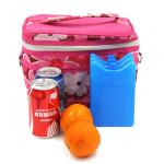 Multipurpose Portable Fishing Vegetable Beer Ice Pack For Outdoor Camping