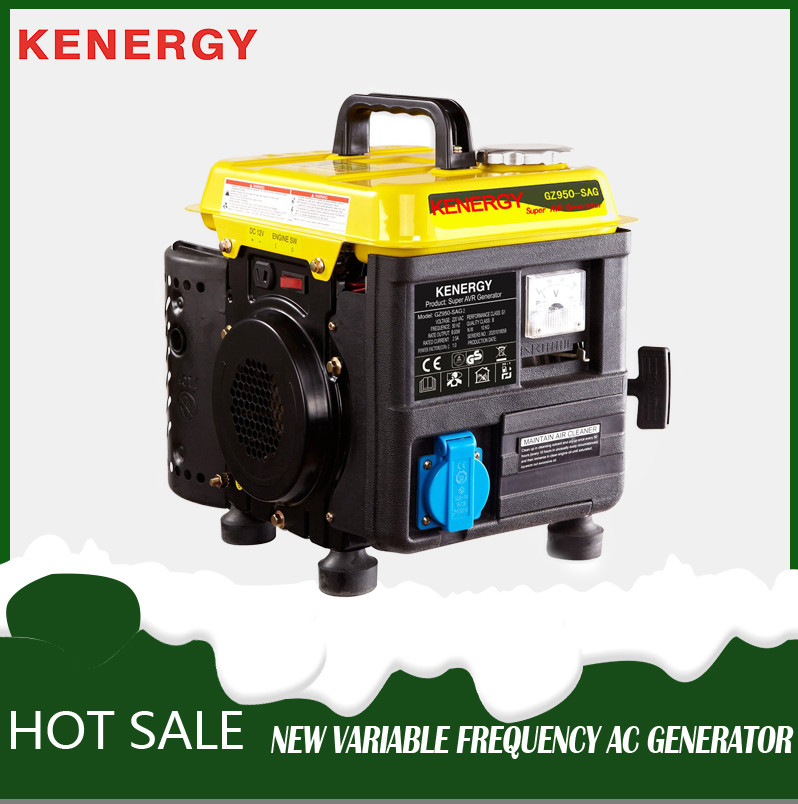 800W small gasoline generator field household single-phase motor for electricity