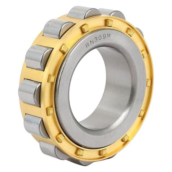 RN206M Cylinder roller bearing without Outer Ring 502206H Eccectric Bearing 30