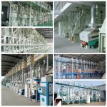 Parboiled 5T rotary automatic sifter Rice Grader