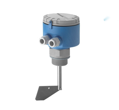 China Endress+Hauser Point Level Switch Soliswitch FTE30 Rotary Paddle Switch factory