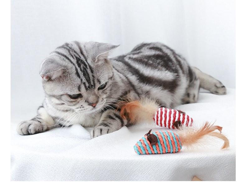 Cat Teaser Playing Cat Toys Interactive Set Wooden Gift Box 7pcs Cat Teaser Wand for Cats