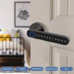 Fingerprint Password Tuya App Door Lock Aluminium Grip Open Biometric Door
