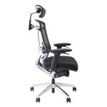 Marrit X Ergonomic Black Office Chair Executive Seating With Headrest Swivel