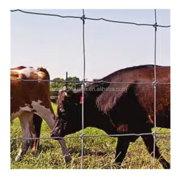 Pressure Treated Wood Type Field Fence for High Tensile Goat/Cow/Deer Fence on