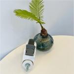 5-Inch White Medical Casters Band Brake PP And TPR Material