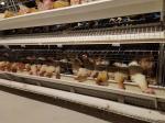 Specialized Layer Battery Cage For Poultry Farms, Housing Chickens For Laying