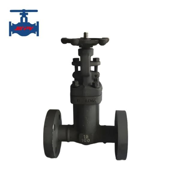Industrial Forged Gate Valve API 602 Standard Class 150 Bellow Sealed Gate Valve