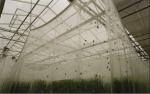 Plastic Garden Agriculture Anti Insect Netting , Plants Anti Insect Net