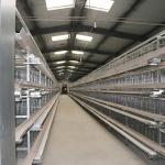 Galvanized Wrie Battery Cages For Laying Hens , Egg Chicken Cage Labor Saving