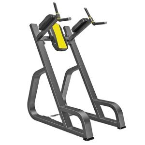 China Commercial Multi-Functional Vertical Kness UP/DIP Plate Loaded Machine factory