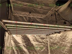 China Lm301b Lm301h 650w G1 UL8800 Horticulture LED Grow Lights factory