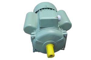 China Single Phase Induction Motor YC Series For Family Workshops 0.75 KW 1 HZ factory