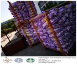 Garlic to Philippines with mesh bag