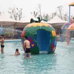Colorful Carp Spray Park Equipment / Kids' Water Playground
