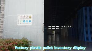 China double deck plastic pallet cheap heavy duty factory