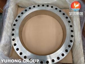 China ASME SA182 F317L WN RF Stainless Steel SMLS Flange , Bridas factory