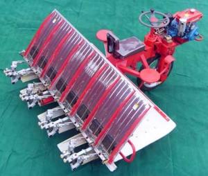 China Paddy Rice transplanter 2ZT-8238 factory