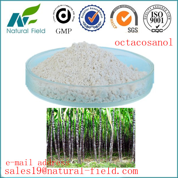 China best selling high quality octacosanol extract powder rice bran wax factory