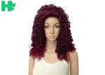 Kinky Curly Long Synthetic Wigs Natural Hair Line Mixed Color For Women