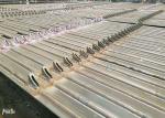 ASME Standard Boiler Membrane Water Wall Panel Made of Carbon Steel for Power