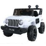 Kids 12V Electric 2 Seater Ride On Car with Remote Control Plastic Manufacturers