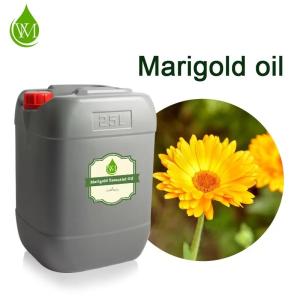 China 100% Pure Natural Organic Calendula Essential Oil Marigold Oil factory