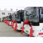 6.6m 23 Seats Electric City Buses LHD RHD 270KM Mileage for city transportation