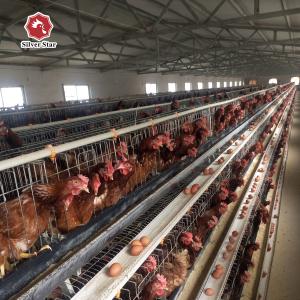 China Galvanized Battery Chicken Cages Coops A Type Automatic For Egg Laying factory