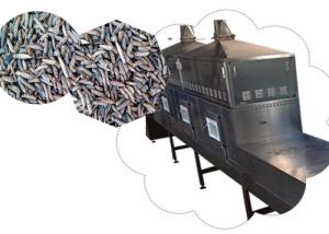 China Tunnel THot Recycling And Circulatory System Black Soldier Fly Larvae Microwave Sterilization Machine Good Price factory
